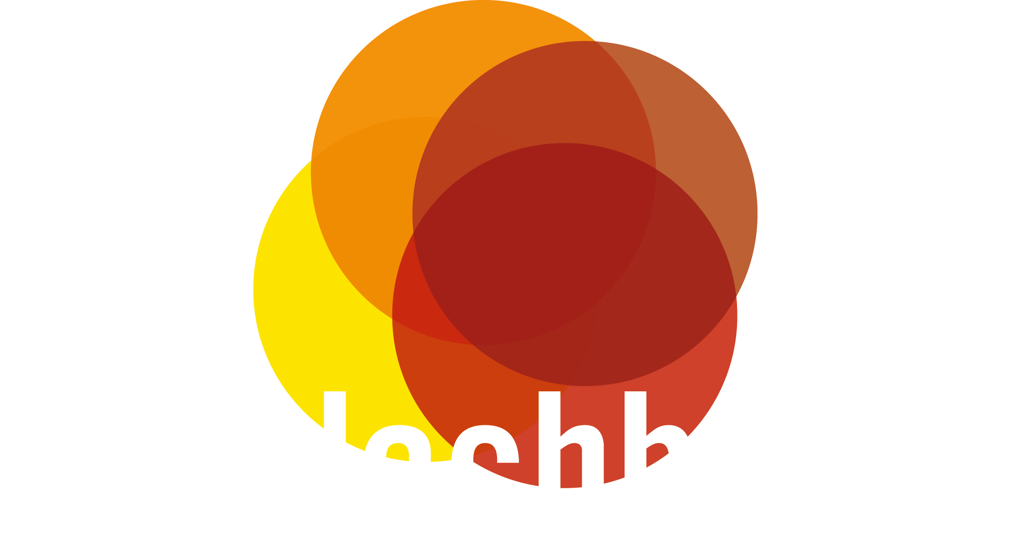 25H_DACHBODEN_MAIN_LOGO_cmyk_neg